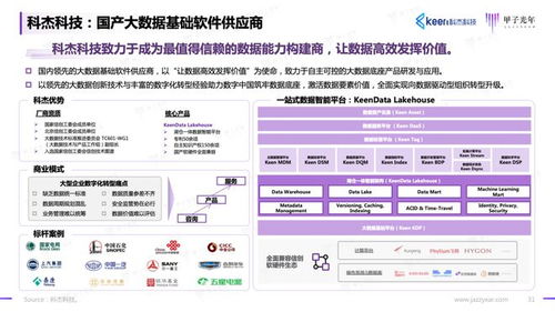 2023信创软件品牌影响力研究报告——基础软件服务篇